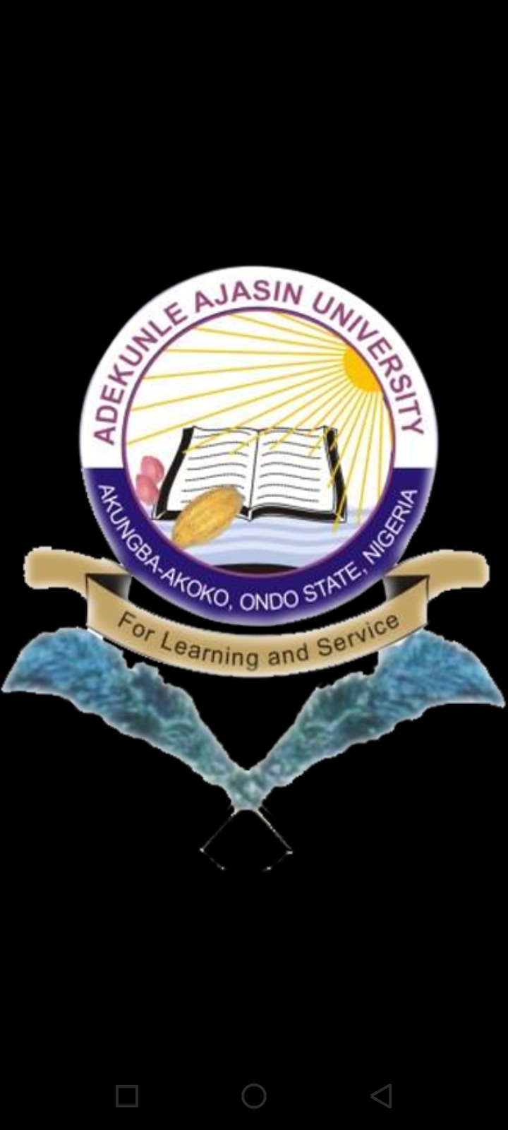 The Institute of Part-time Programmes, Adekunle Aj